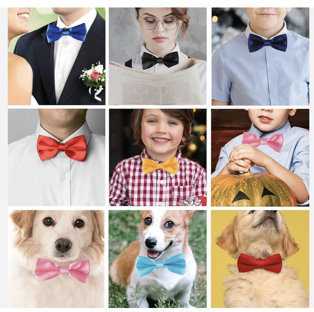 Лукс папионки за парти