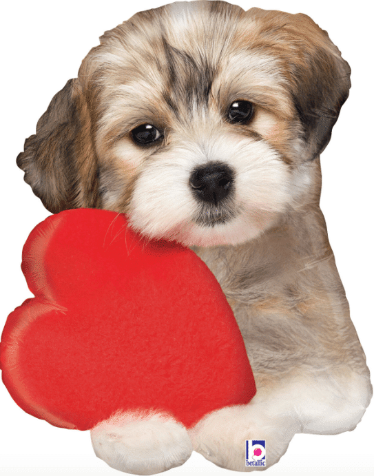 Балон Фолио „PUPPY LOVE“ – 74 см