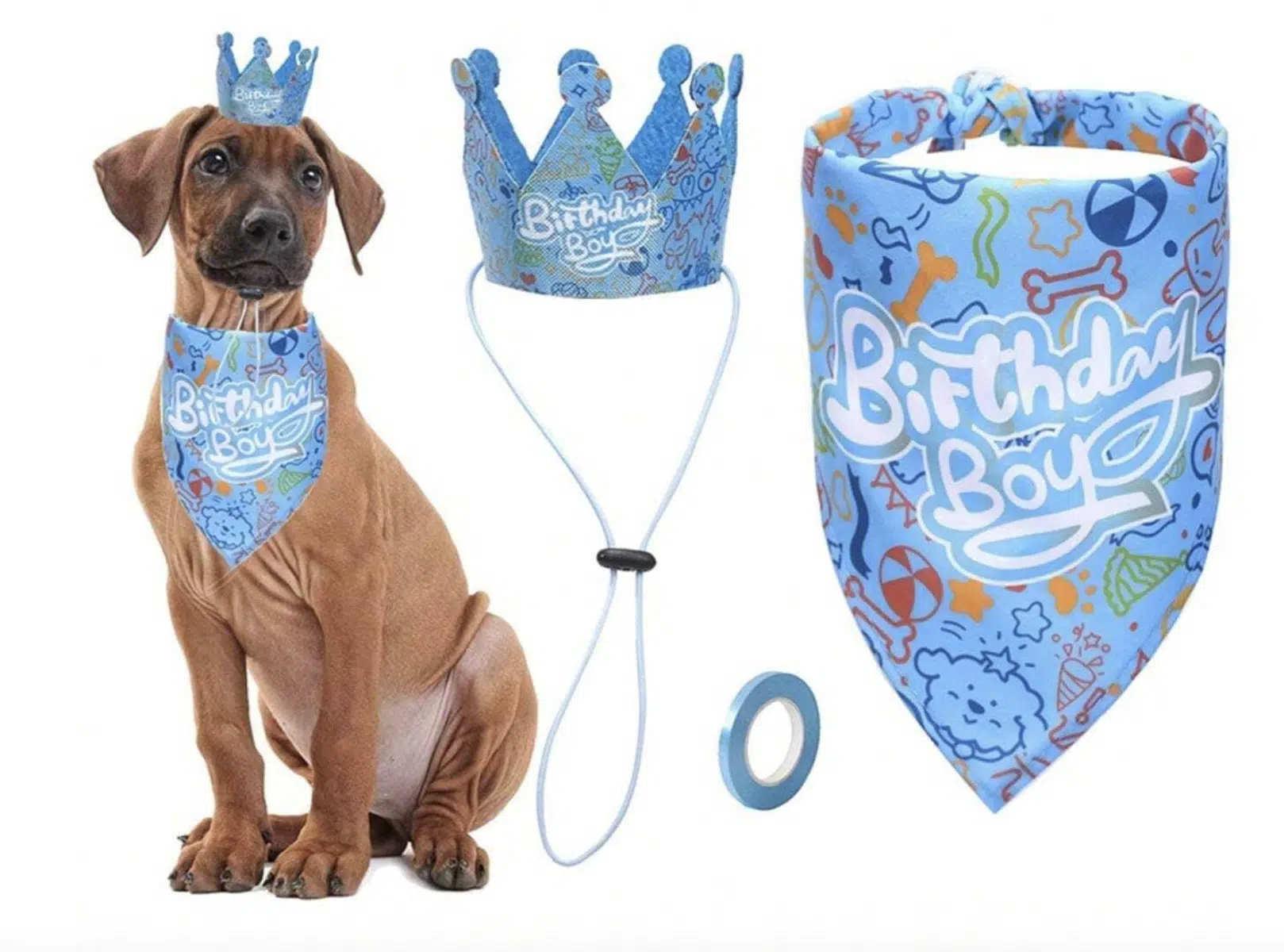 Парти за домашен любимец украси