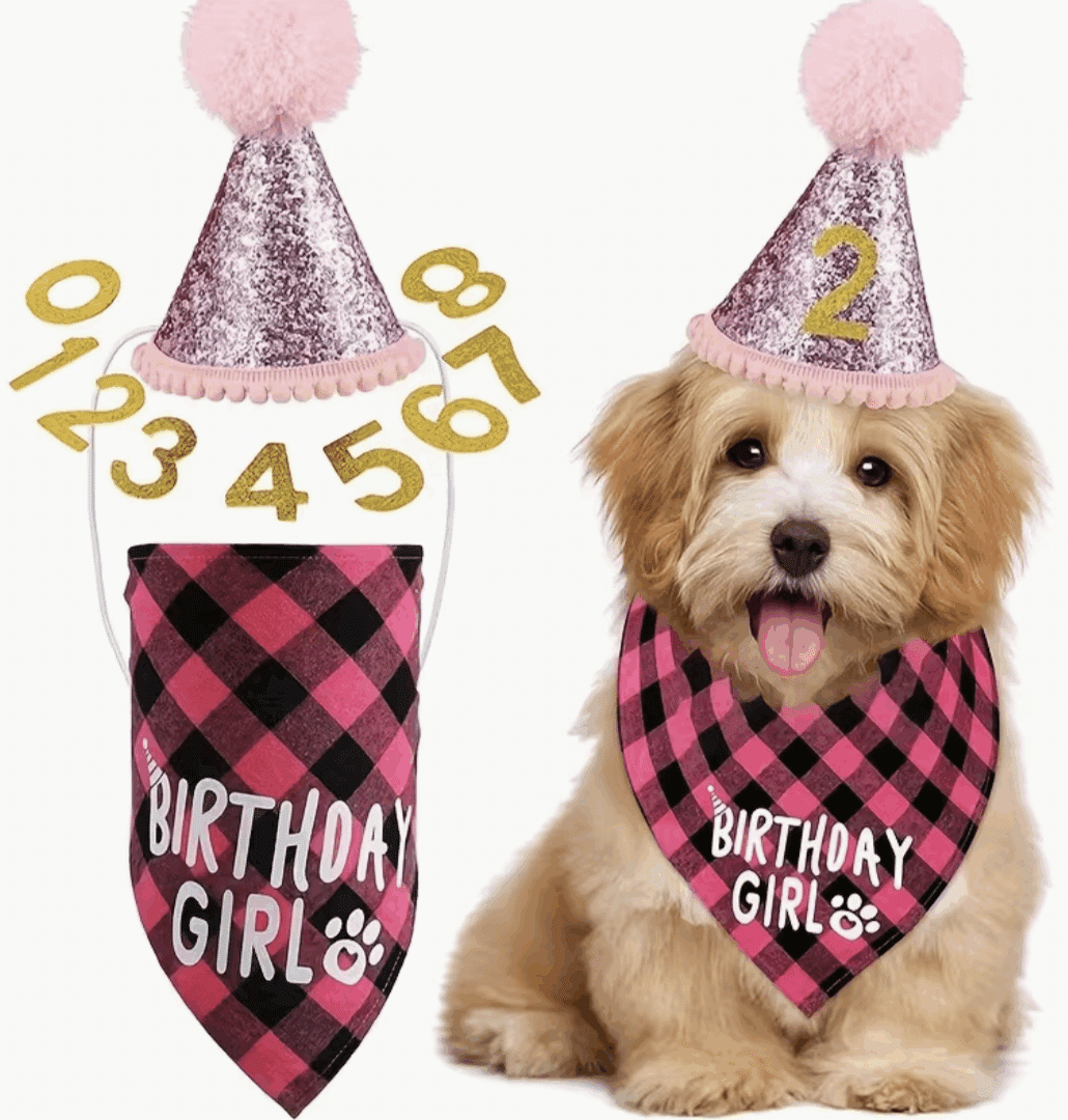 🐾 Розов парти комплект за рожден ден „Birthday Girl