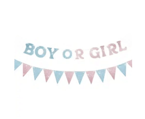 Парти комплект "Boy or Girl"