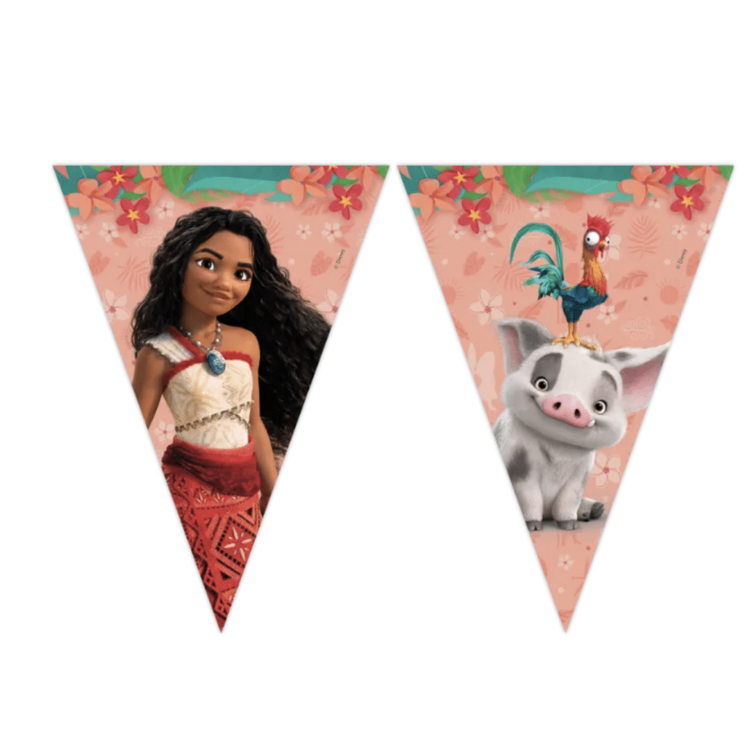 Банер с флагчета Моана 2,3 метра